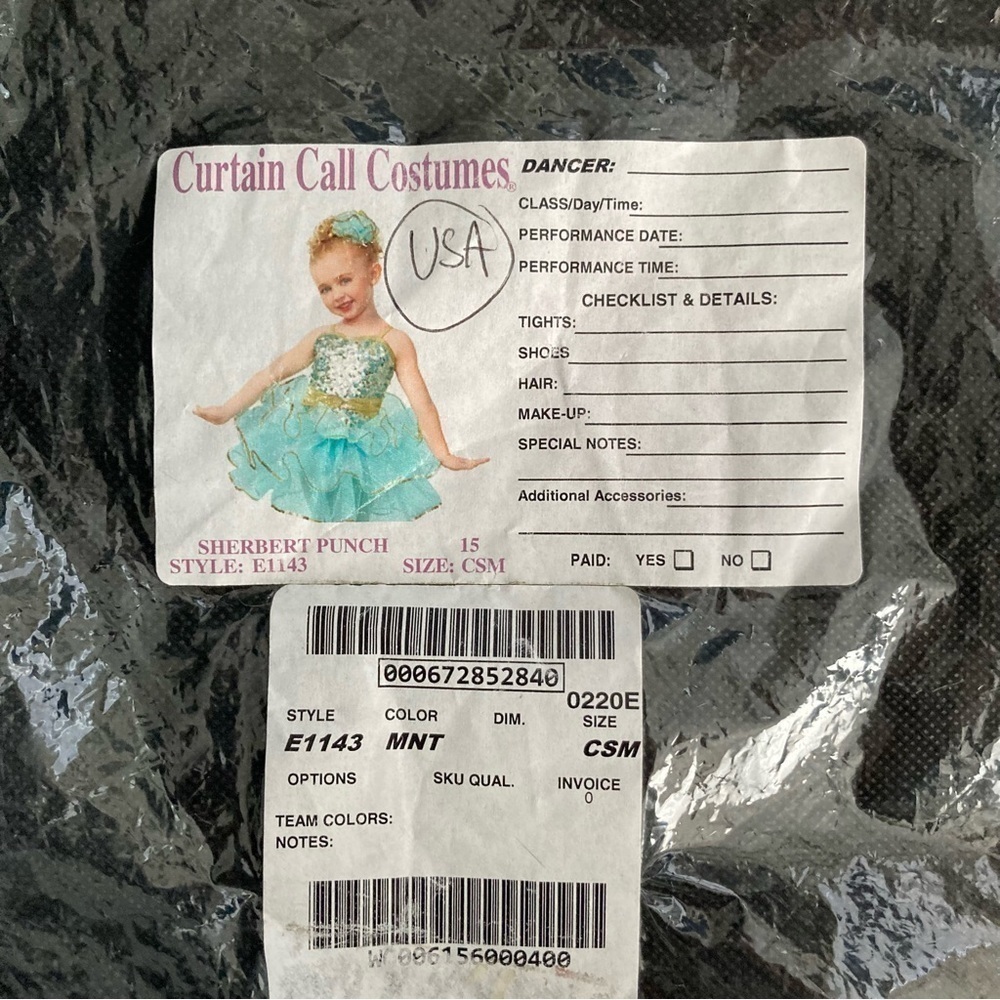 Custom Made Ballerina/Dancer Costume - Picture 10 of 11